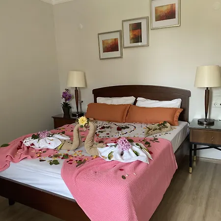 Yeni Astral سيدي