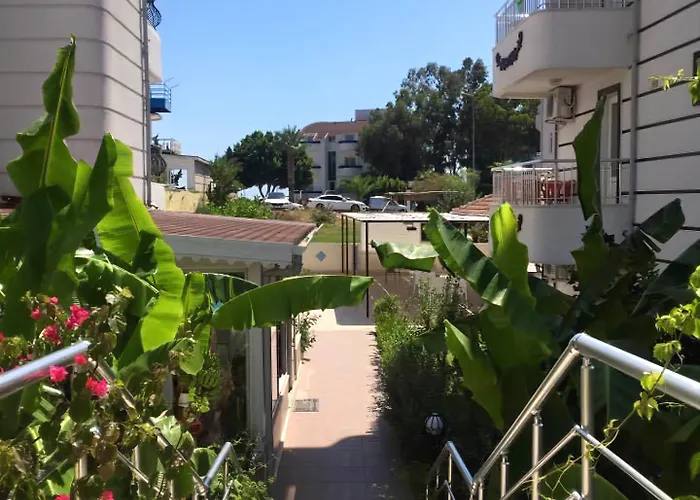 Yeni Astral * سيدي