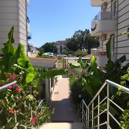 Yeni Astral * シダ