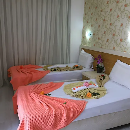 Yeni Astral * シダ