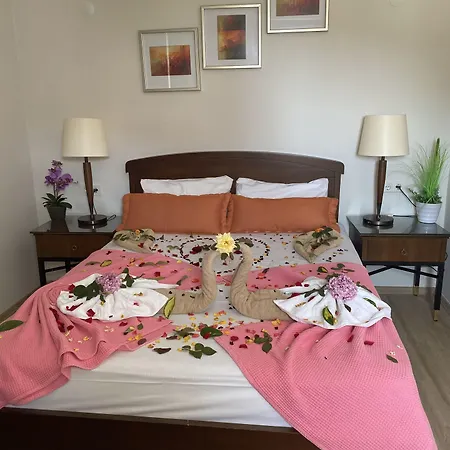 ホテル Yeni Astral シダ